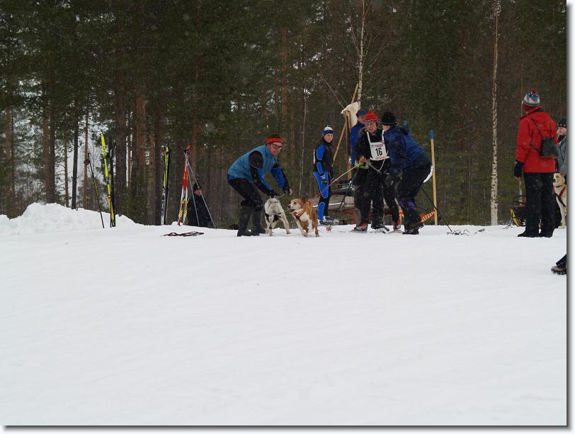 Nästa bild